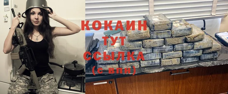 COCAIN Fish Scale  кракен как зайти  Артёмовск 